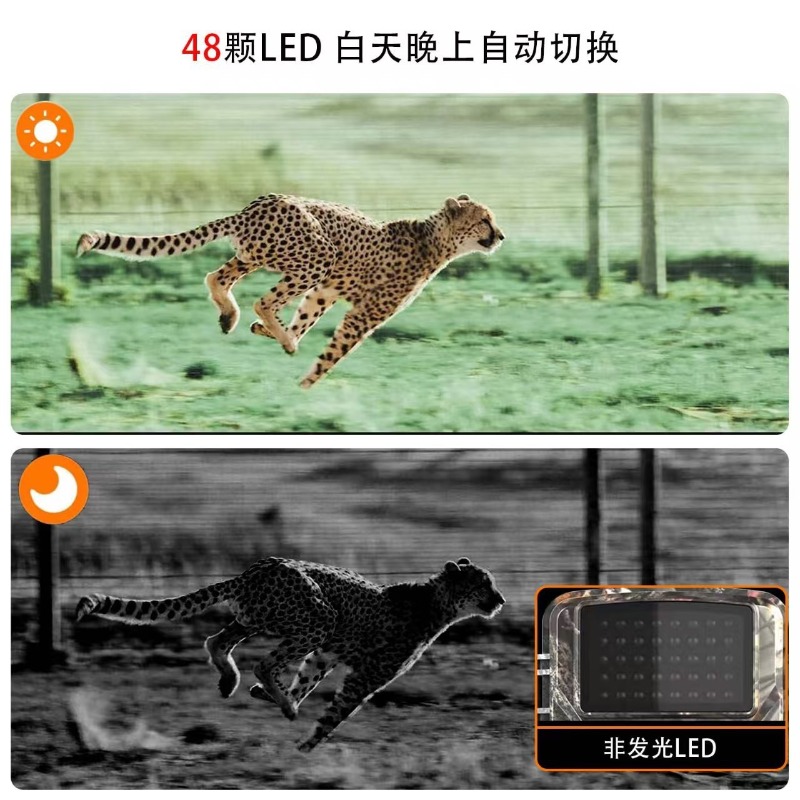 HOT SALE DL001 Hunting Camera  - огляд і ціна Outdoor Hunting Images