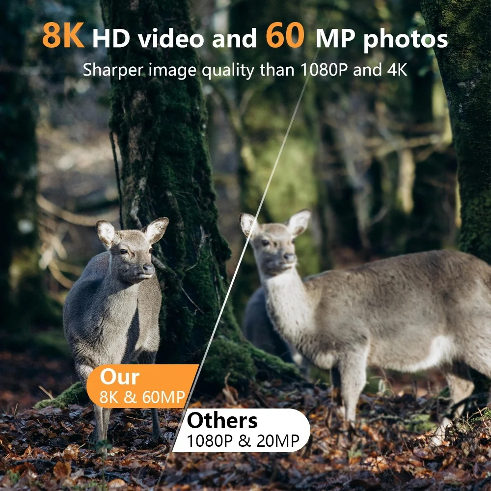 PR803W 8K WiFi Trail Camera -  - огляд і ціна Trail Camera Infrared