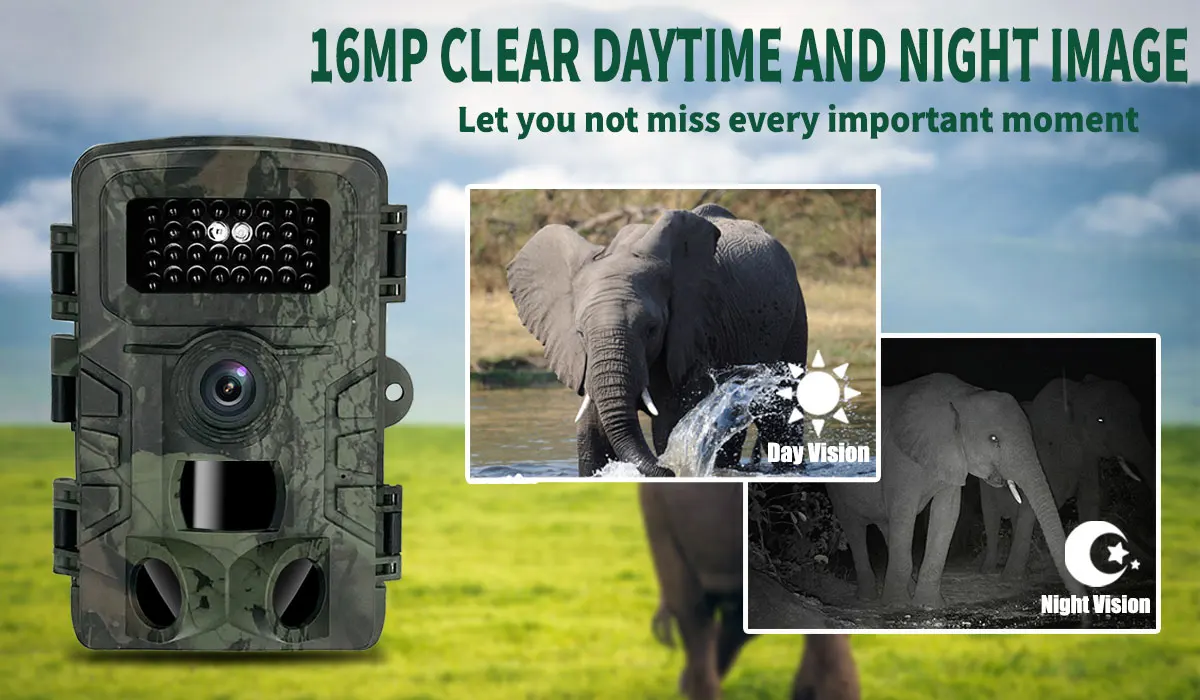 Hunting Trail Camera PR700 wit - огляд і ціна Trail Camera Infrared