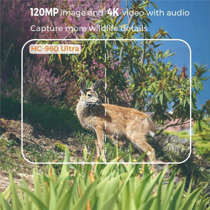 A99E-Outdoor 4G 120MP 4K Live  - огляд і ціна Hunting Outdoor Shows