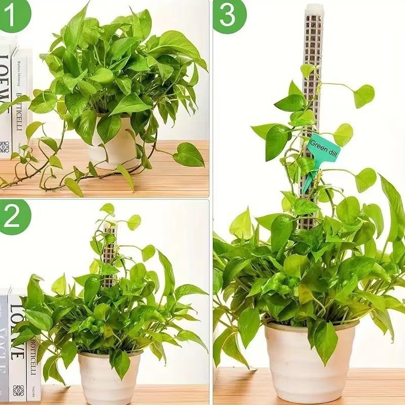 1/2/3pcs Self-watering Moss Po - огляд і ціна Tree Stand Ladder