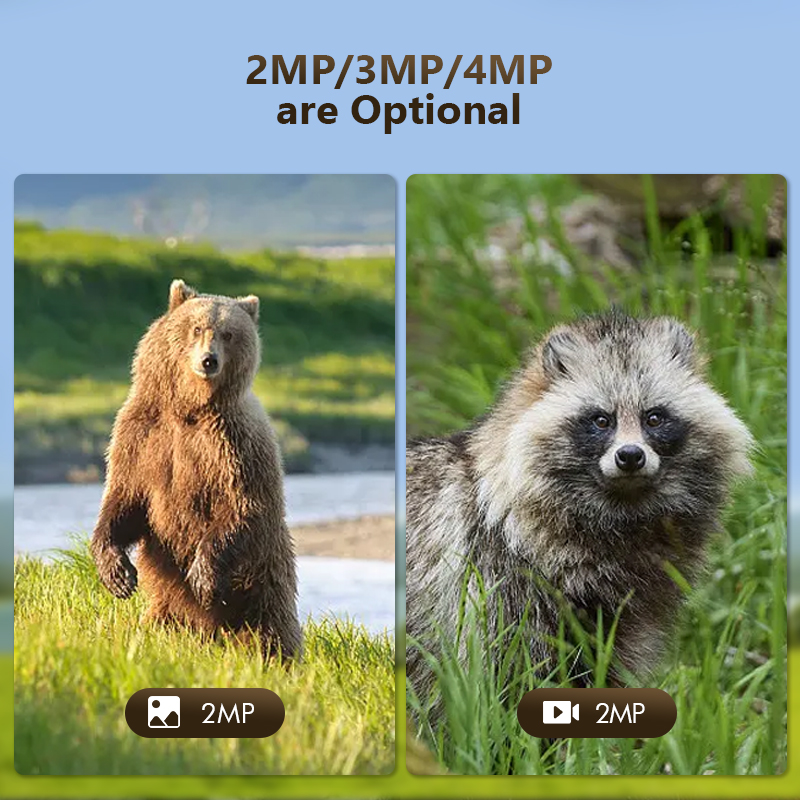4G 4MP Outdoor Wildlife Huntin - огляд і ціна Trail Camera Infrared