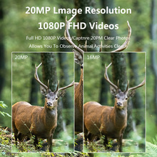 20MP 1080P PR100 Trail Camera  - огляд і ціна Trail Camera Infrared